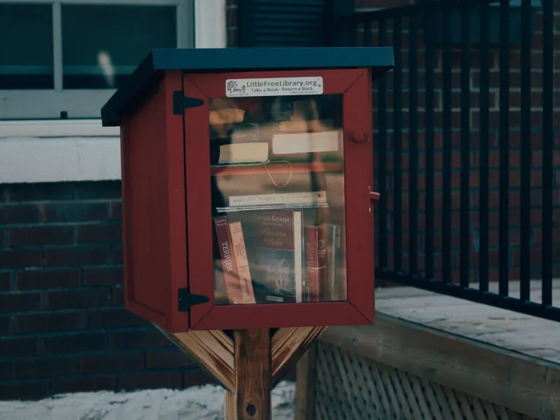 Beyond the Bookshelves: How Rural Libraries Are Emerging as Cornerstones of Community Resilience