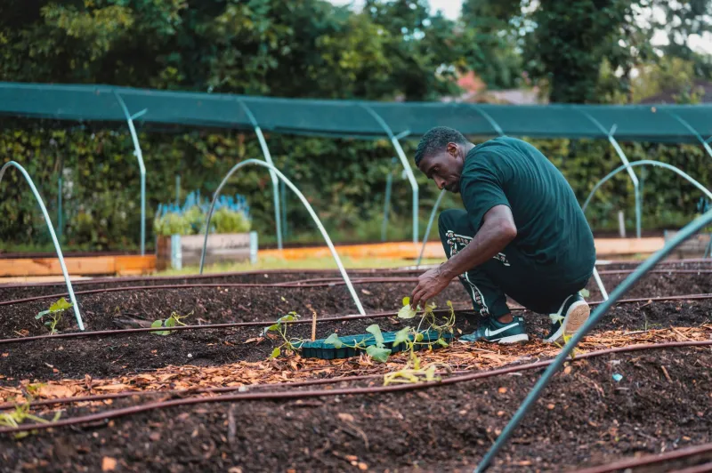 More Than a Garden: How a Single Philanthropic Investment in Green Space Reshapes Food Security, Mental Health, and Community Identity