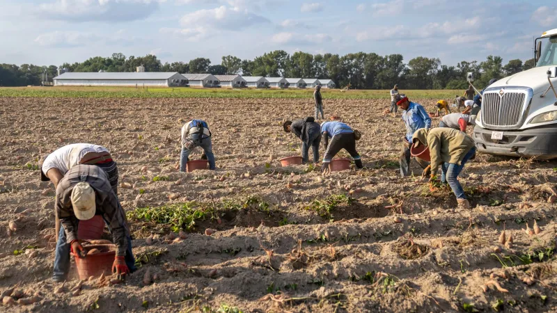 Planting the Seed: How a Single Strategic Grant Can Echo Through a Community for Decades